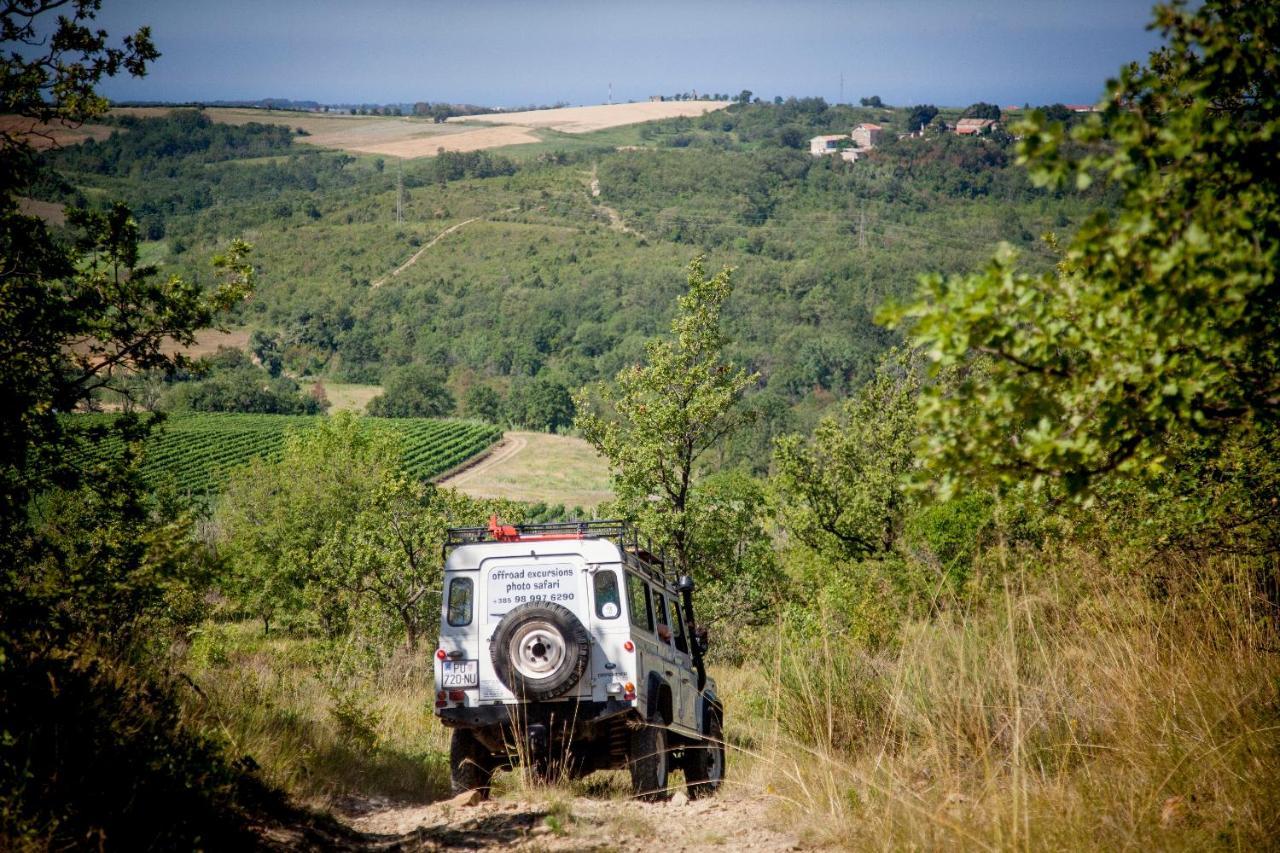 بوجي Al Merlo Olivo, Rural Istrian House المظهر الخارجي الصورة