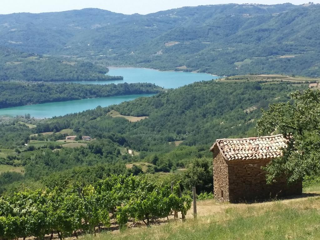 بوجي Al Merlo Olivo, Rural Istrian House المظهر الخارجي الصورة