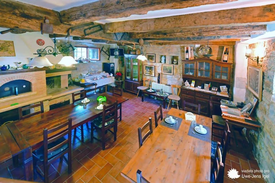 بوجي Al Merlo Olivo, Rural Istrian House المظهر الخارجي الصورة