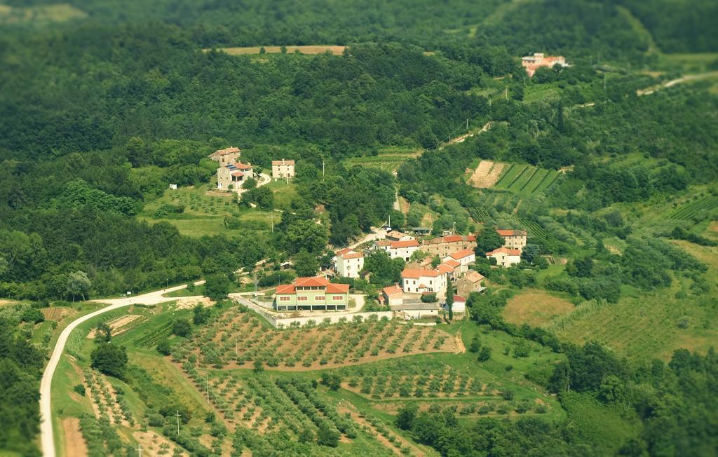 بوجي Al Merlo Olivo, Rural Istrian House المظهر الخارجي الصورة