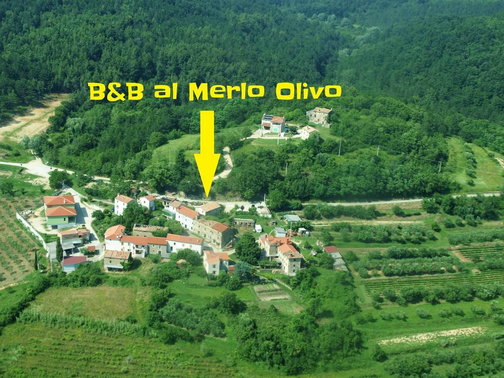 بوجي Al Merlo Olivo, Rural Istrian House المظهر الخارجي الصورة