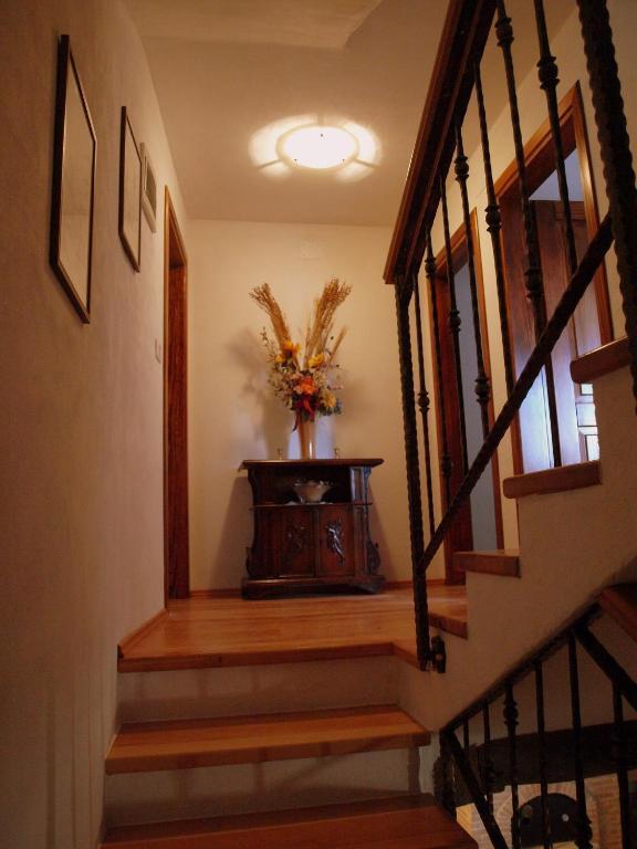 بوجي Al Merlo Olivo, Rural Istrian House المظهر الخارجي الصورة