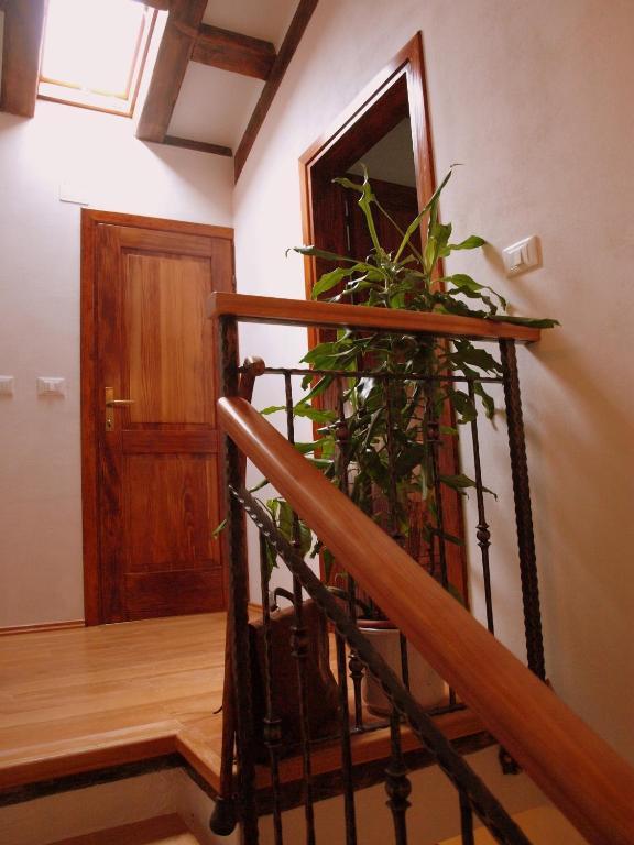 بوجي Al Merlo Olivo, Rural Istrian House المظهر الخارجي الصورة