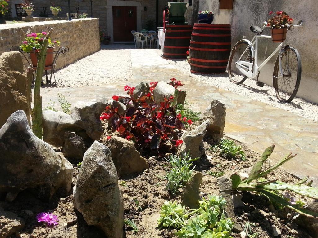 بوجي Al Merlo Olivo, Rural Istrian House المظهر الخارجي الصورة