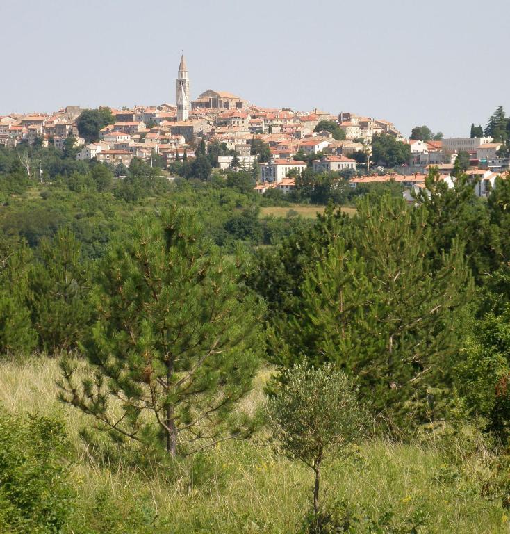 بوجي Al Merlo Olivo, Rural Istrian House المظهر الخارجي الصورة