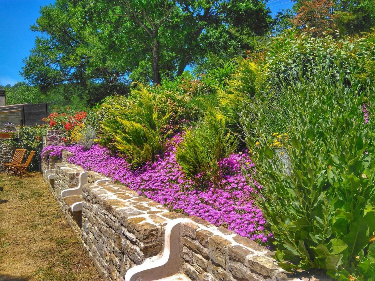 بوجي Al Merlo Olivo, Rural Istrian House المظهر الخارجي الصورة