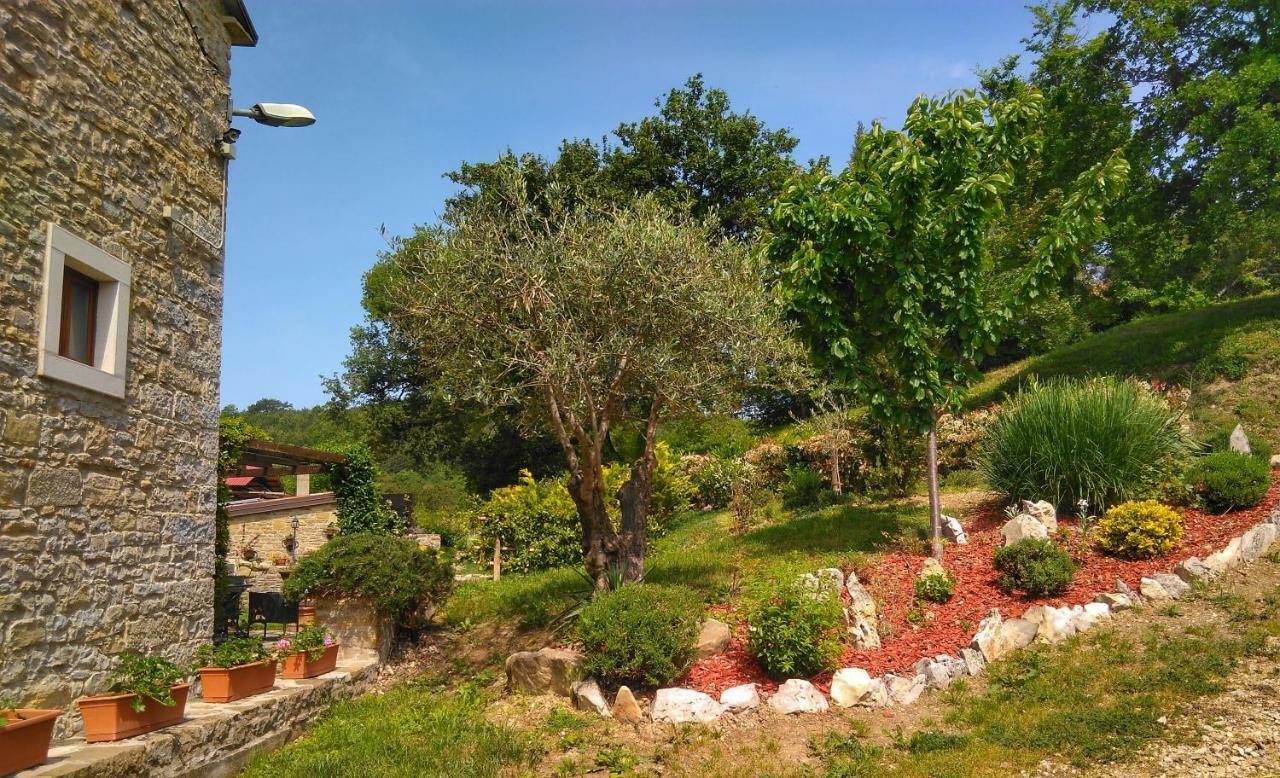 بوجي Al Merlo Olivo, Rural Istrian House المظهر الخارجي الصورة