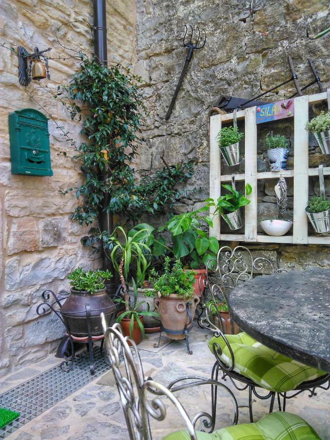 بوجي Al Merlo Olivo, Rural Istrian House المظهر الخارجي الصورة