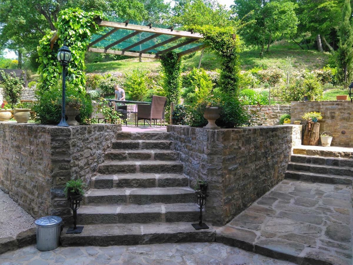 بوجي Al Merlo Olivo, Rural Istrian House المظهر الخارجي الصورة