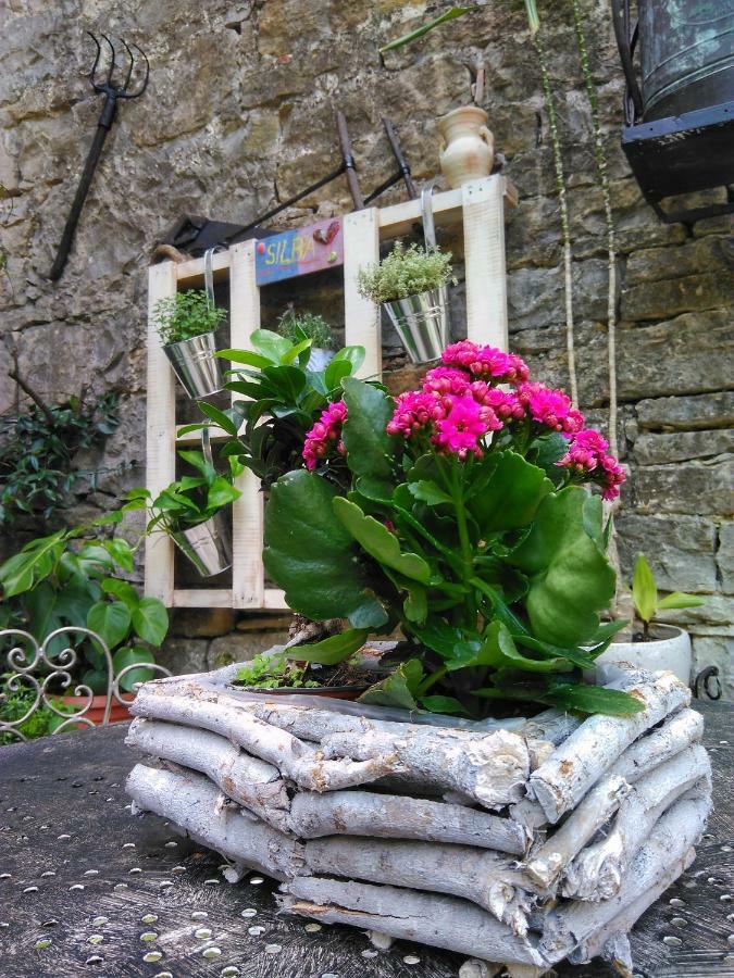 بوجي Al Merlo Olivo, Rural Istrian House المظهر الخارجي الصورة