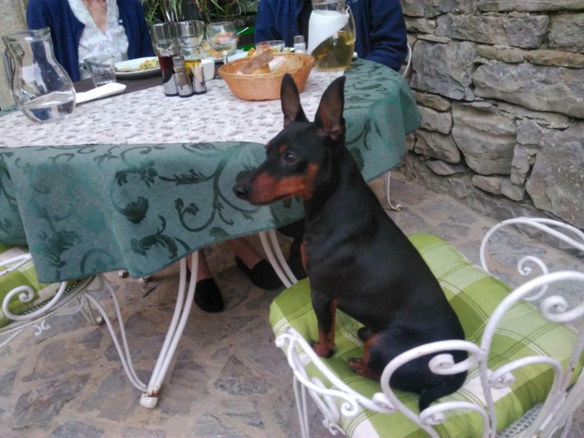 بوجي Al Merlo Olivo, Rural Istrian House المظهر الخارجي الصورة